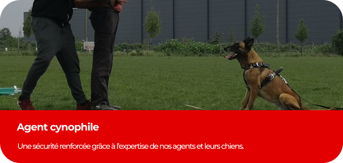 Agent Cynophile Auvergne Rhône Alpes Objective Security